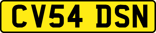 CV54DSN