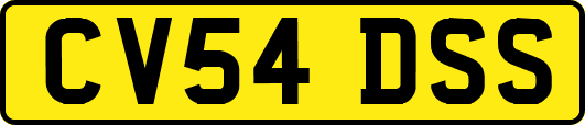 CV54DSS