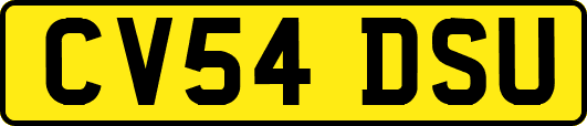 CV54DSU