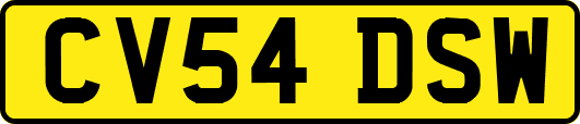 CV54DSW