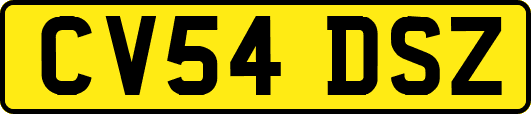 CV54DSZ