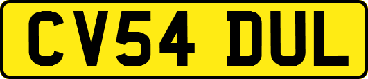 CV54DUL
