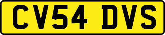 CV54DVS