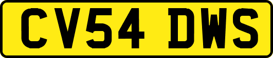 CV54DWS