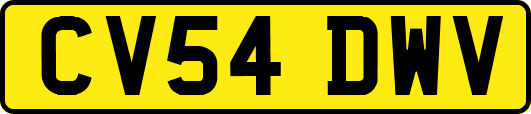 CV54DWV