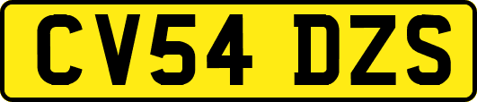 CV54DZS