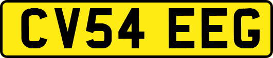 CV54EEG