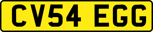 CV54EGG