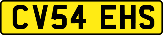 CV54EHS
