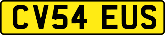 CV54EUS