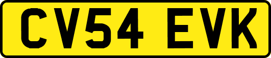 CV54EVK