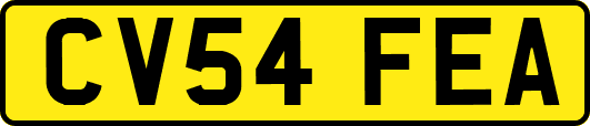 CV54FEA