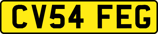 CV54FEG