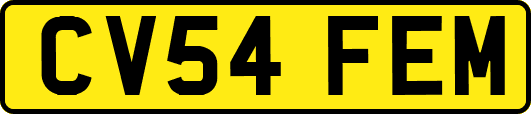 CV54FEM