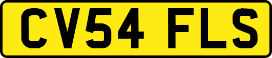 CV54FLS