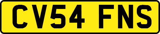 CV54FNS