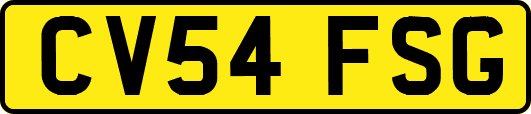 CV54FSG