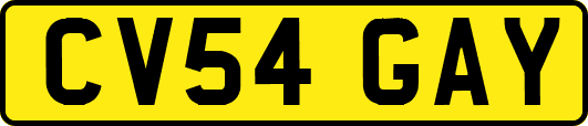 CV54GAY