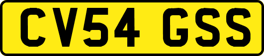 CV54GSS