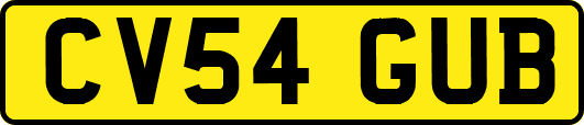 CV54GUB
