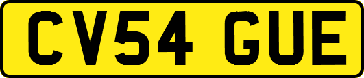 CV54GUE