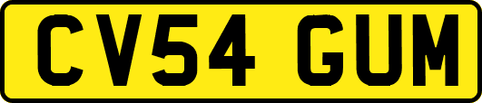 CV54GUM