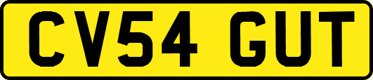 CV54GUT