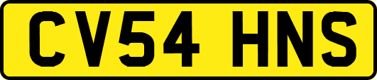 CV54HNS