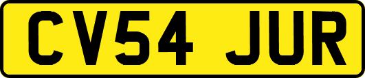 CV54JUR