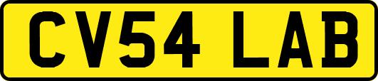 CV54LAB