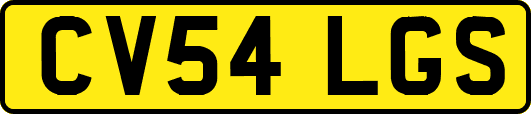 CV54LGS