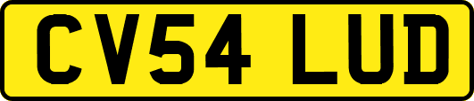 CV54LUD