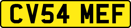 CV54MEF