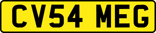 CV54MEG