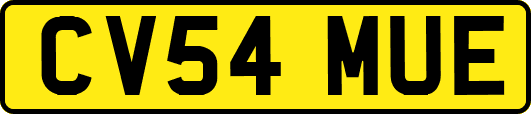 CV54MUE
