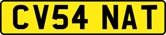 CV54NAT