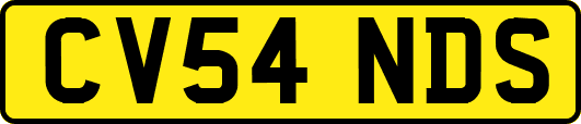 CV54NDS