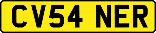 CV54NER