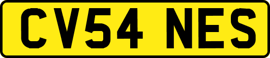 CV54NES