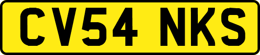 CV54NKS
