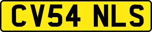 CV54NLS