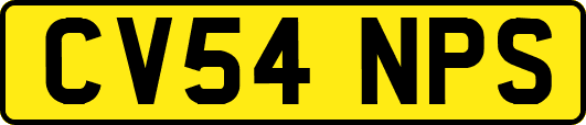 CV54NPS