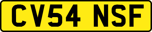 CV54NSF