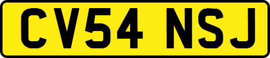CV54NSJ