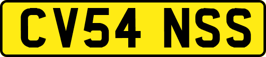 CV54NSS