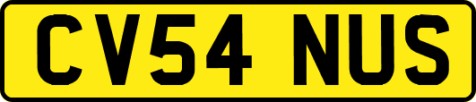 CV54NUS