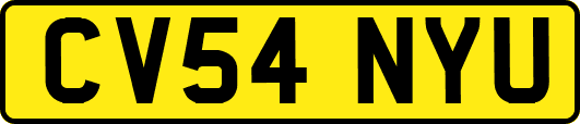 CV54NYU