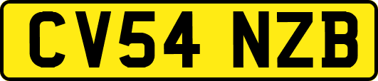 CV54NZB