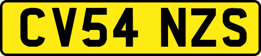 CV54NZS