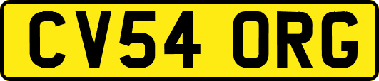 CV54ORG